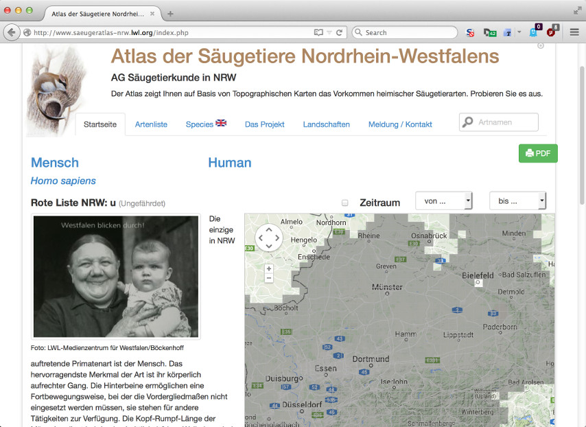 Eintrag »Mensch (Homo sapiens)« im Atlas der Säugetiere
Nordrhein-Westfalens mit Beschreibung, Foto und Karte der Vorkommen in
NRW.